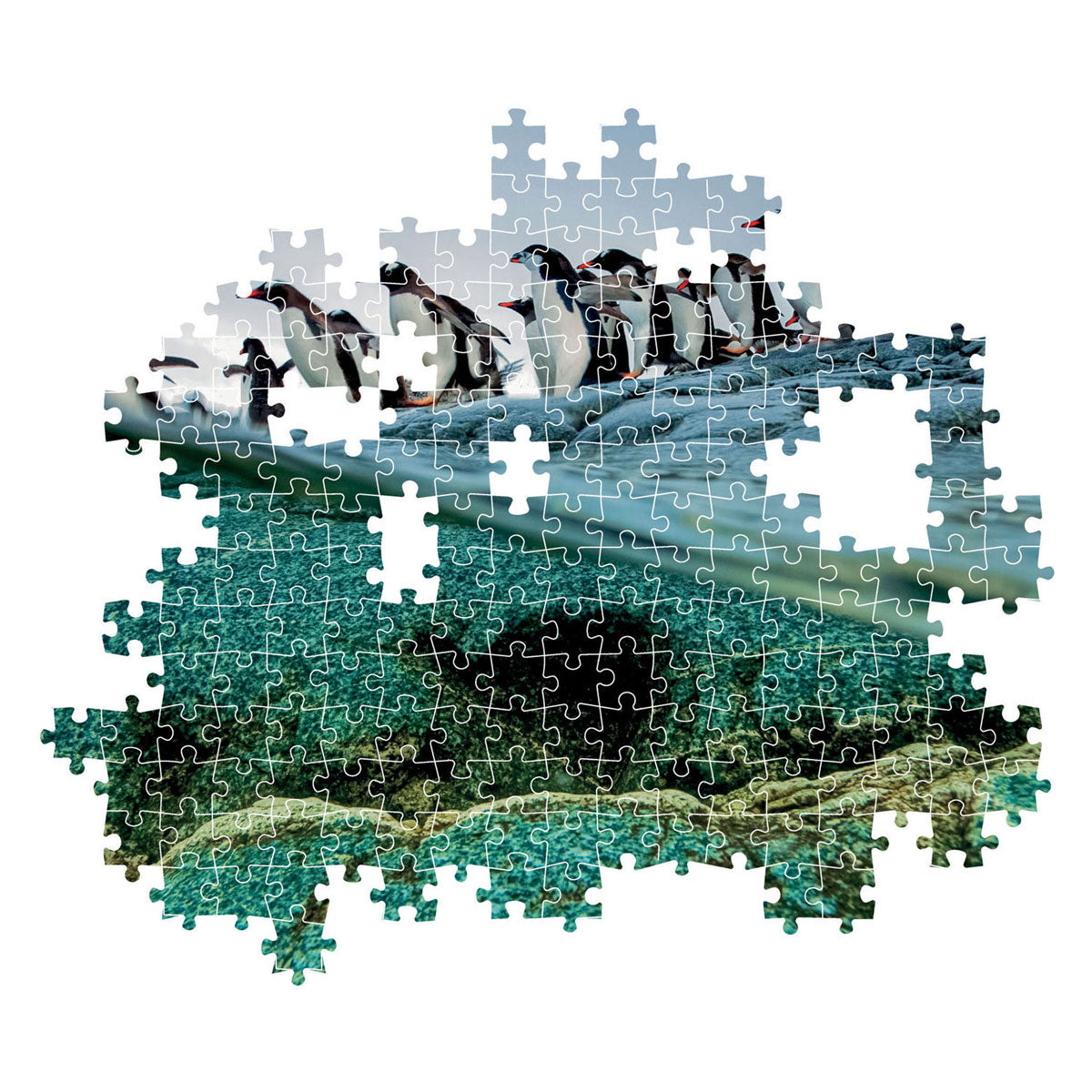 Clementoni Jigsaw Puzzle National Geographics Penguin, 1000st.