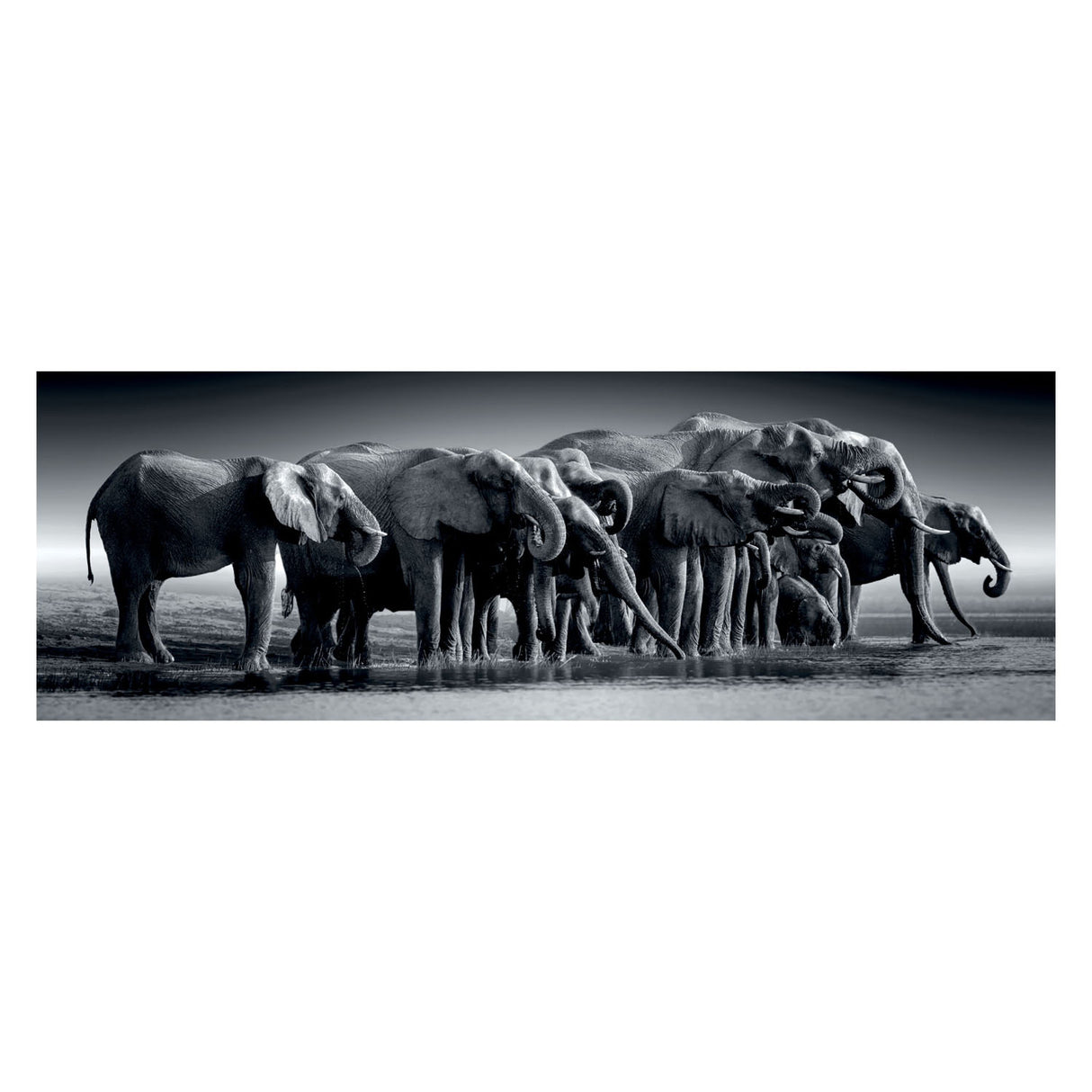 Clementoni Jigsaw Puzzle Panorama Herd lub Giants, 1000st.