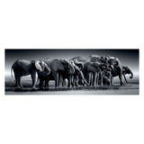 Clementoni Jigsaw Puzzle Panorama Herd lub Giants, 1000st.