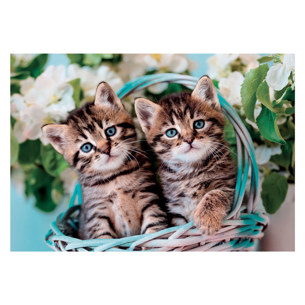 Clementoni jigsaw puzzle Super Color Lovely Kitty Twins, 60st.