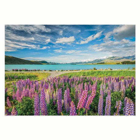 Clementoni-Puzzle Blumen am Tekapo-See, 1500 Teile.