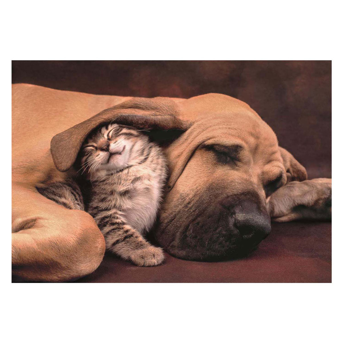 Clementoni Puzzle Hund und Katze, 500 Teile.