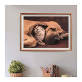Clementoni Puzzle Hund und Katze, 500 Teile.