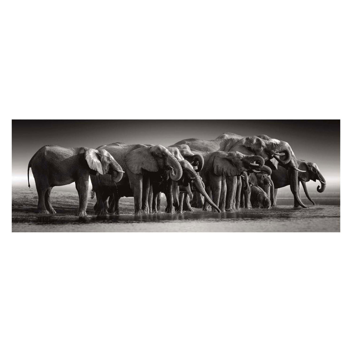 Clementoni Puzzle Riesenherde, 1000 Teile.
