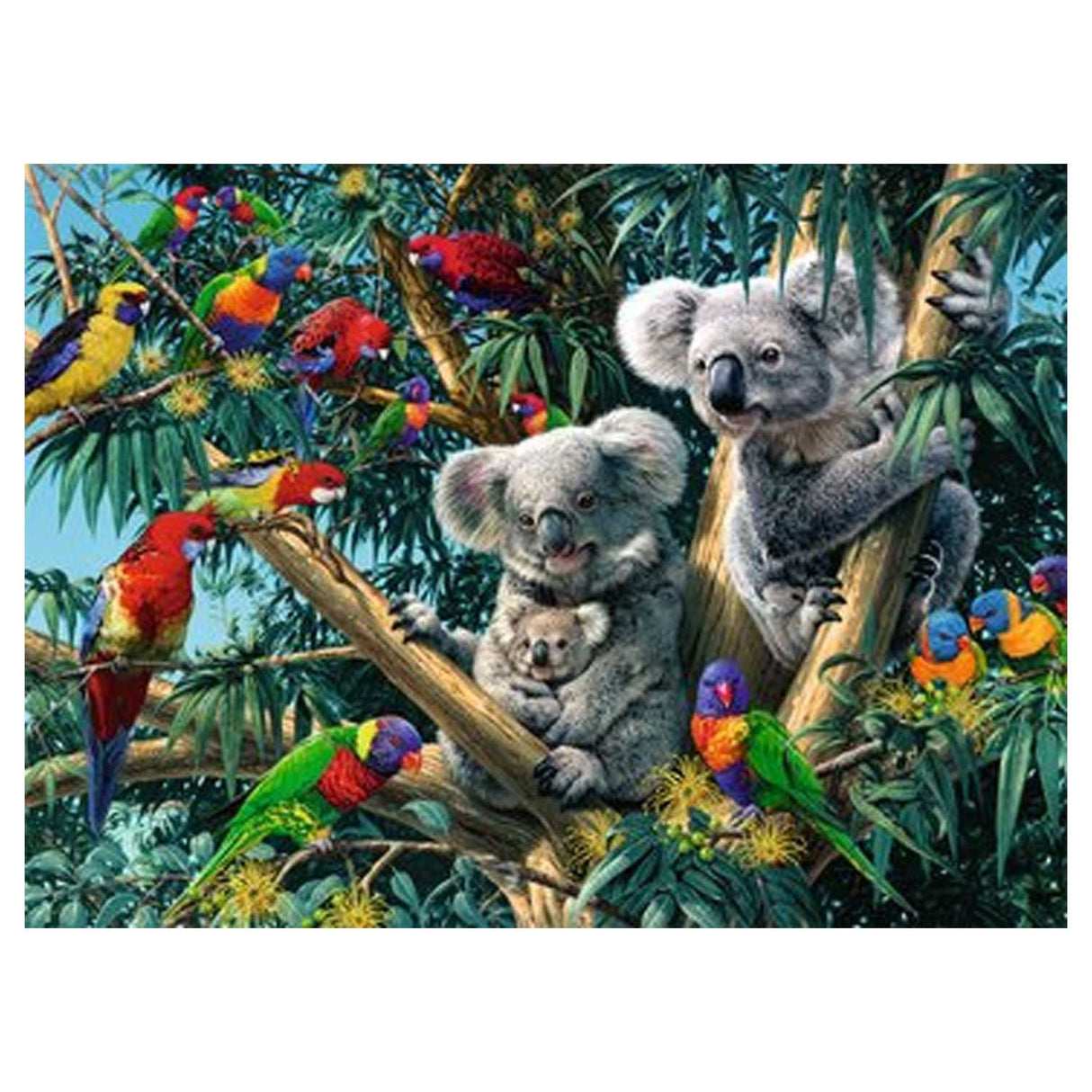 Ravensburger Koalas i trädet 500st.