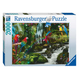 Bonte papige v Jungle Jigsaw Puzzle, 2000st.