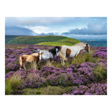 Ravensburger – wilde paarden op de hei – legpuzzel – 2000 stukjes