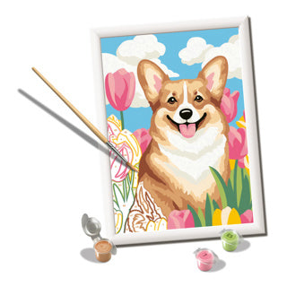 Ravensburger – creart: floral corgi – schilderen op nummer
