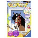 Ravensburger Malen-nach-Zahlen-Pferde-Look - Hobbypaket