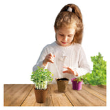 Wissenschaftlicher Kräutergarten von Kidscovery