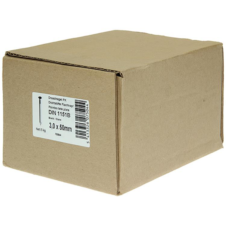 1015643 - doos 5 kg. nagels platte kop 3,0x50 mm | 2 stuks
