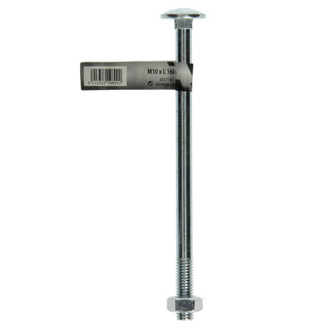 Mack 1017593 - houtbout + moer staal verzinkt1 st m10 x 160 mm | 10 stuks