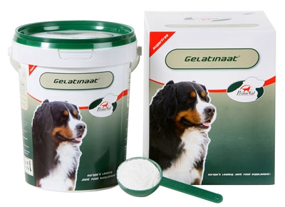 Primeval gelatinat hund