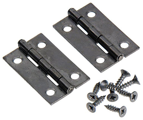 Mack 1013709 - 2 smalle scharnieren inox h 40 x b 25 mm | 5 stuks