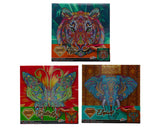 Grafix Leinwand-Diamantgemälde Tiger, 30x30cm