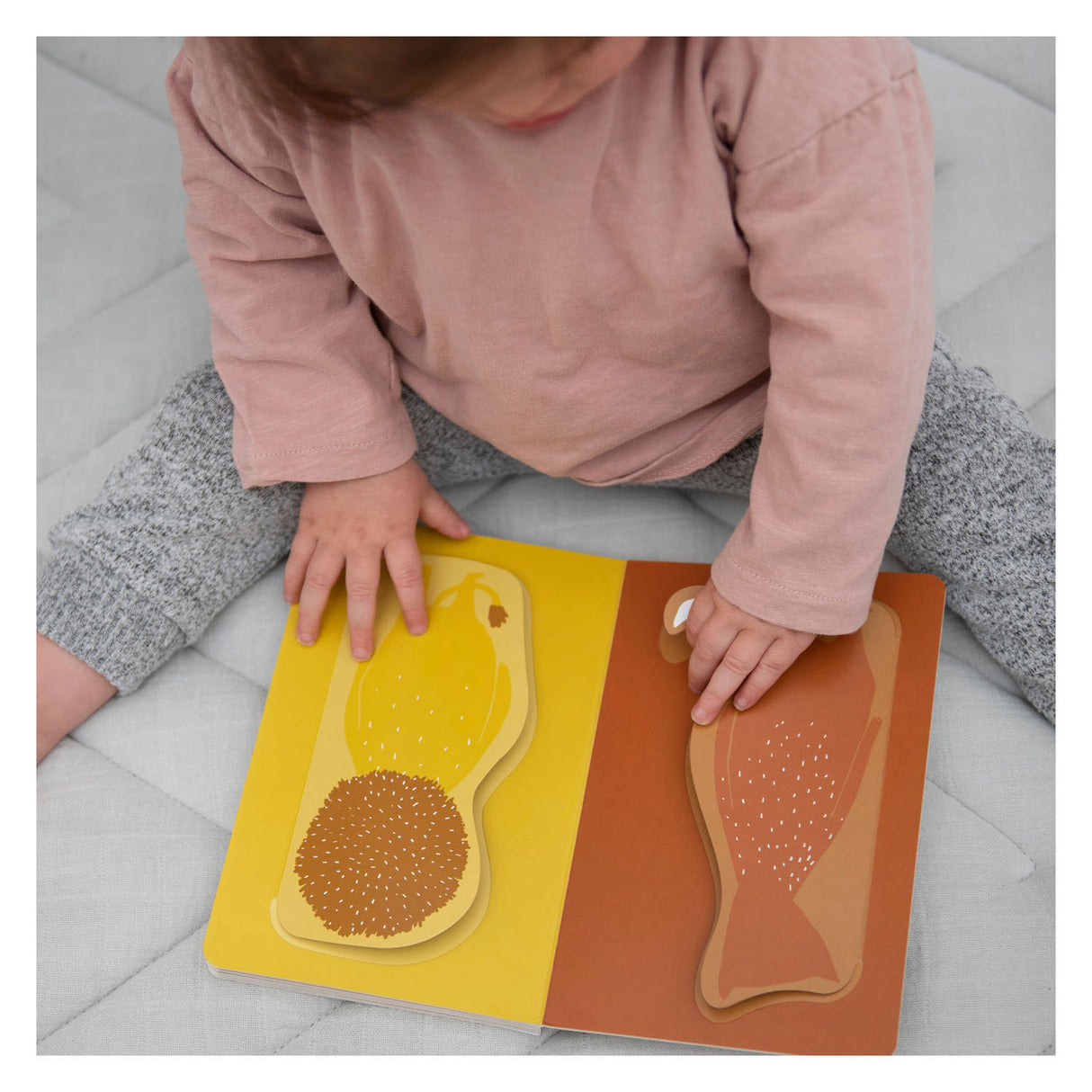 Trixie Klappenbuch Tiere