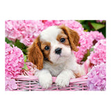 Selecta Castorland Puzzle Welpe in rosa Blumen, 500 Teile.