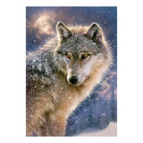 Selecta Castorland Puzzle „Einsamer Wolf“, 500 Teile.