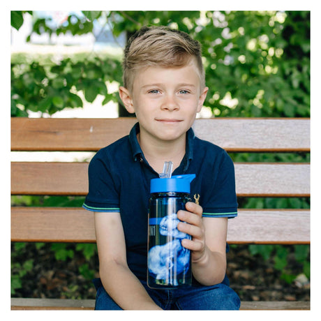 Basic Jurassic World Trinkflasche, 500 ml