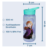 Undercover Areo Drinking Bottle Frozen, 500ml