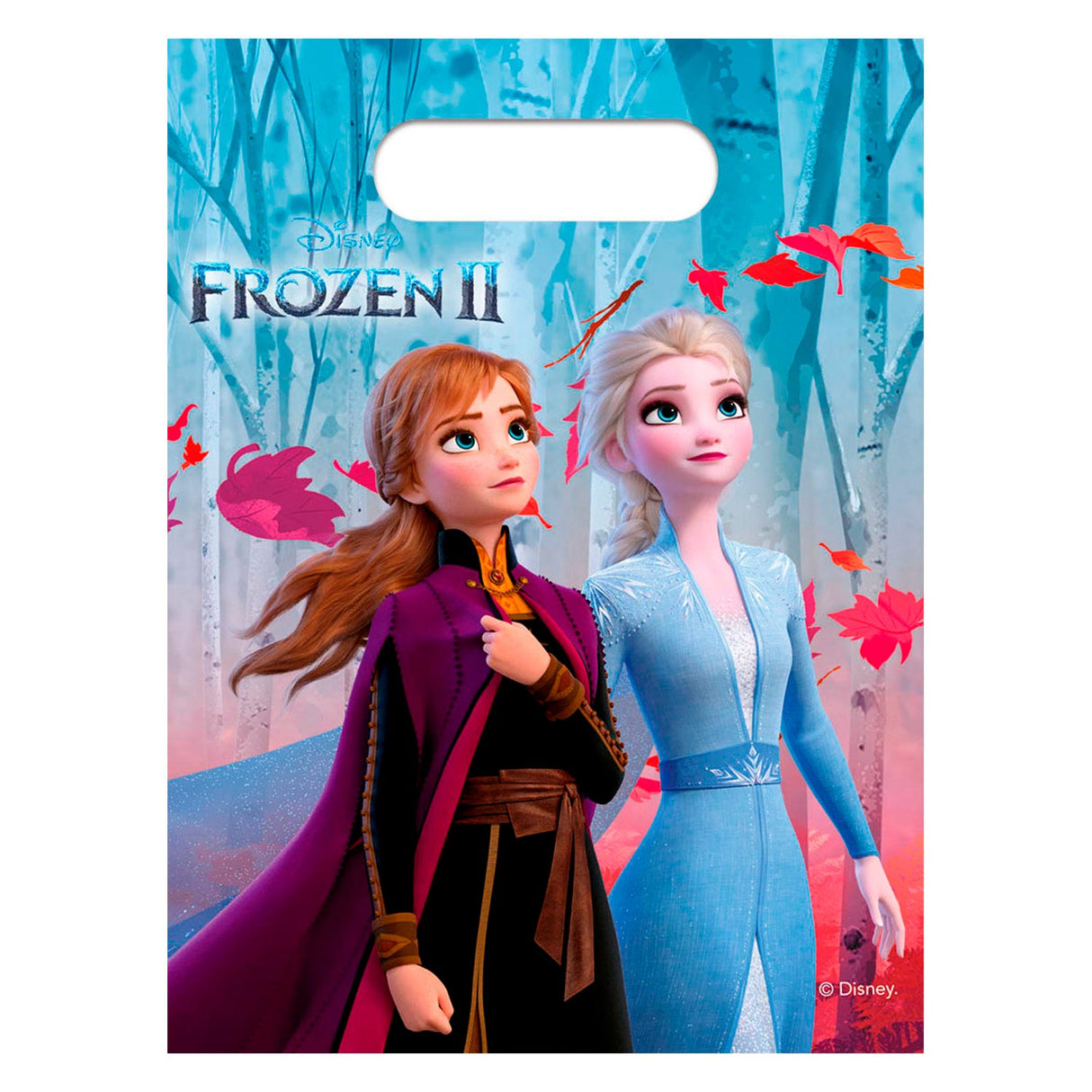 Disney Frozen 2 divizijske torbe, 6st.