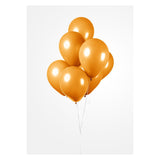 Globos Balloons Oranje 30cm, 10 ..