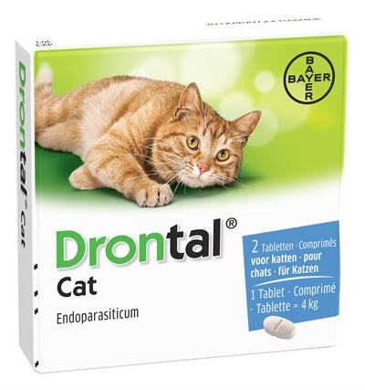 Bayer Drontal Worming Cat