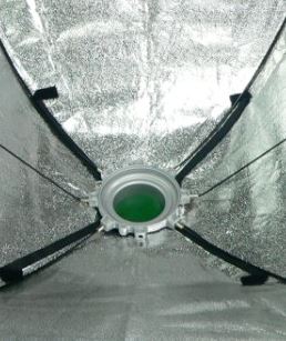 Falcon Eyes Softbox 75x150 cm + Wabe SBQ-75150hc