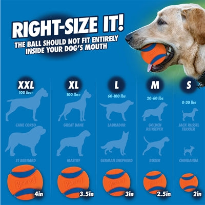 Chuckit! Ultra Ball - Hundeball - Gummi - schwimmend - Größe M - 6 cm - Orange - 2 Stück