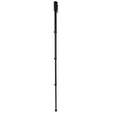 NEST MONOPOD WT-1003 H171 cm