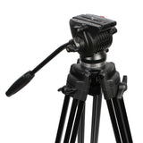 NEST VIDEO TROMTOD NT-777 + FLIC-DEUKTEN