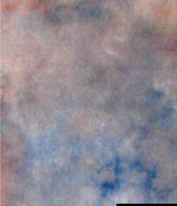 Falcon Eyes Hintergrundtuch S122 2,9 x 7 m