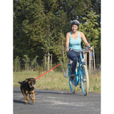 Springer-Hunde-Fahrradhalterung aus Messing