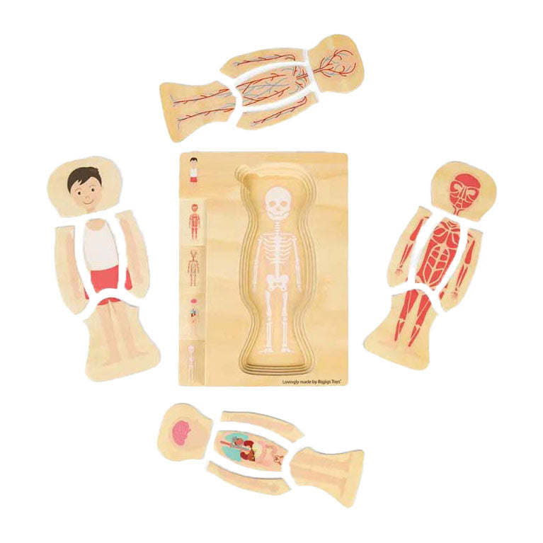 Bigjigs Anatomie-Puzzle aus Holz – Junge, 26 Teile.