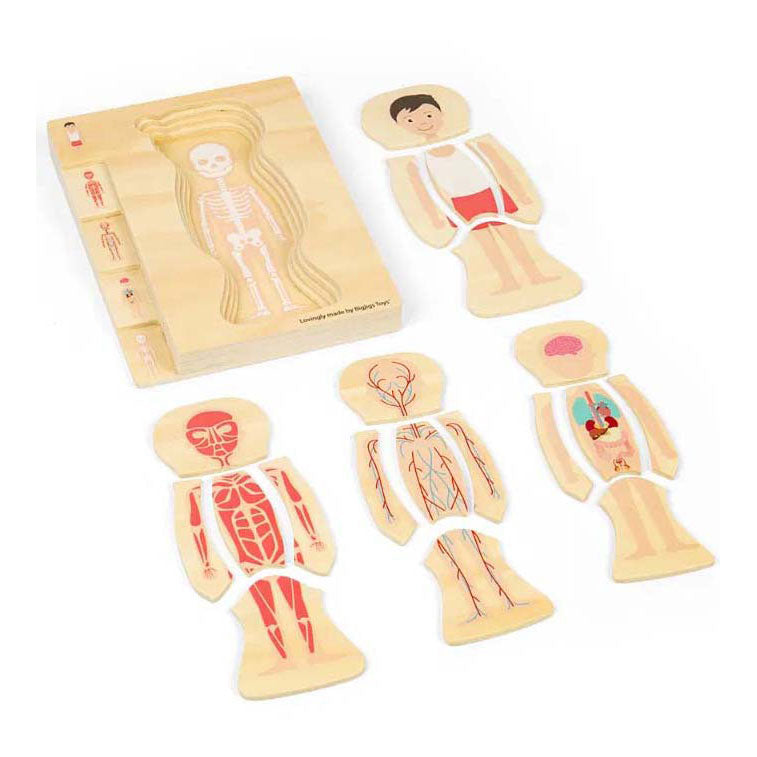 Bigjigs Anatomie-Puzzle aus Holz – Junge, 26 Teile.