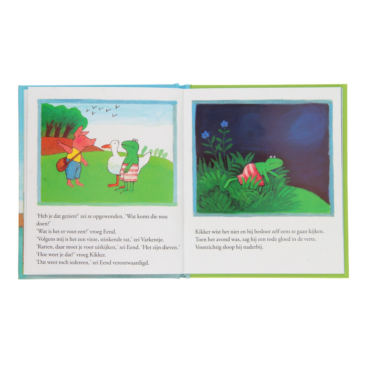 Zentrales Buch Hausfrosch und der Fremde