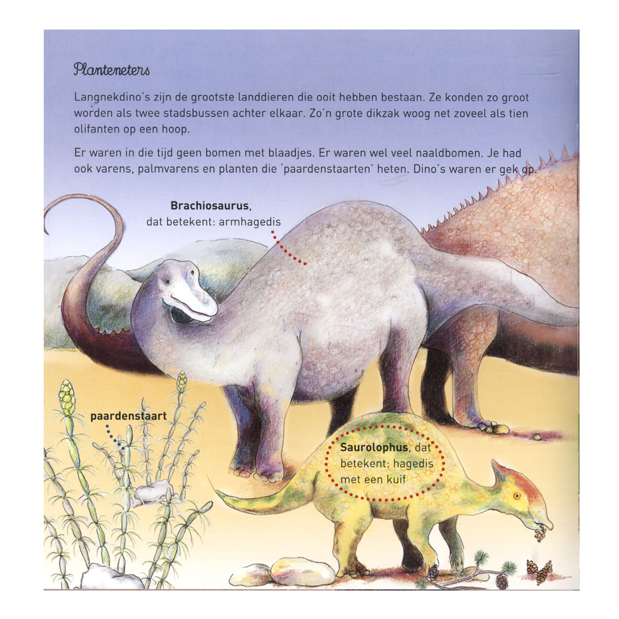 Zentrales Bücherhaus Willewete – Dinosaurier