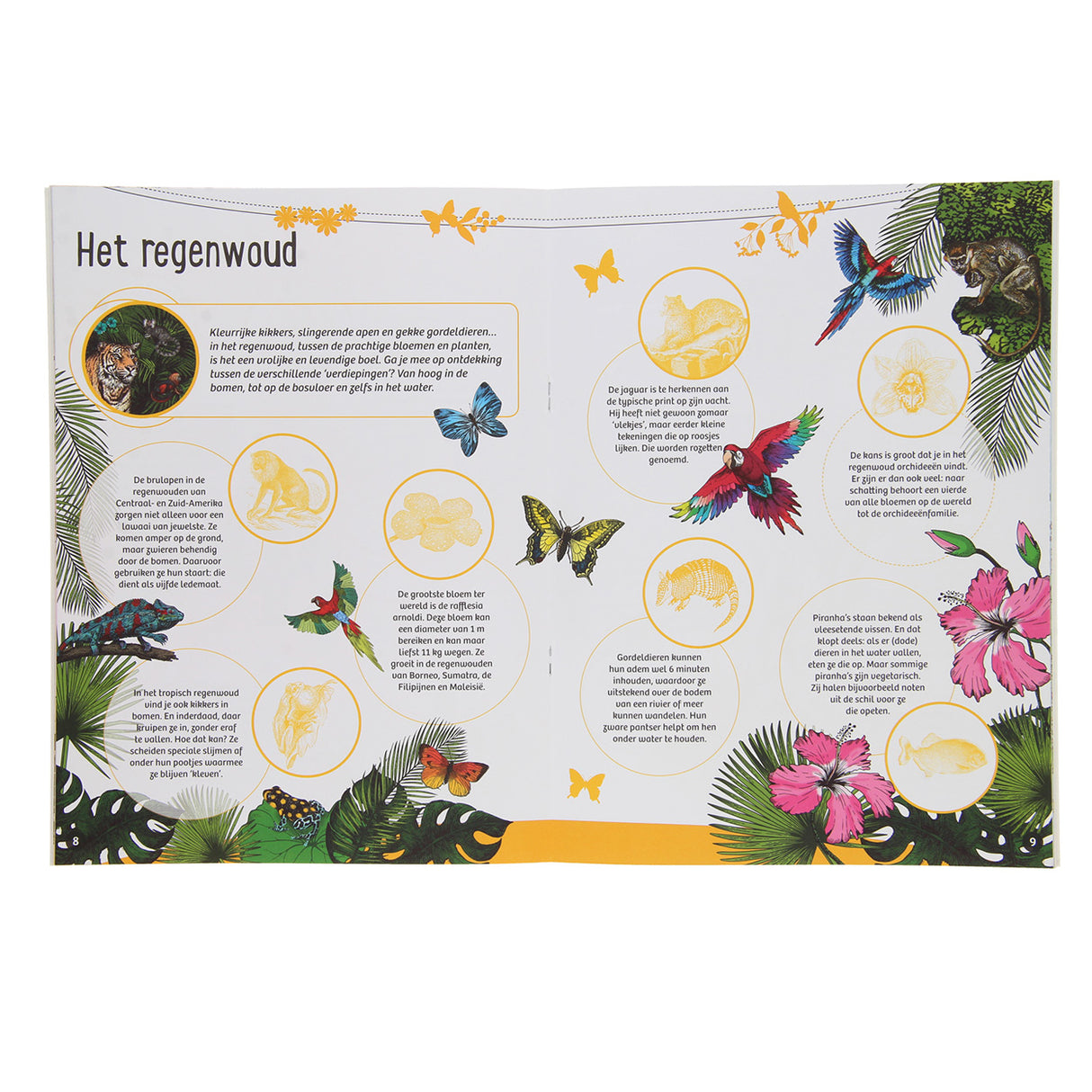 Standard Editeur 50 Fakten 50 Stickers Natur