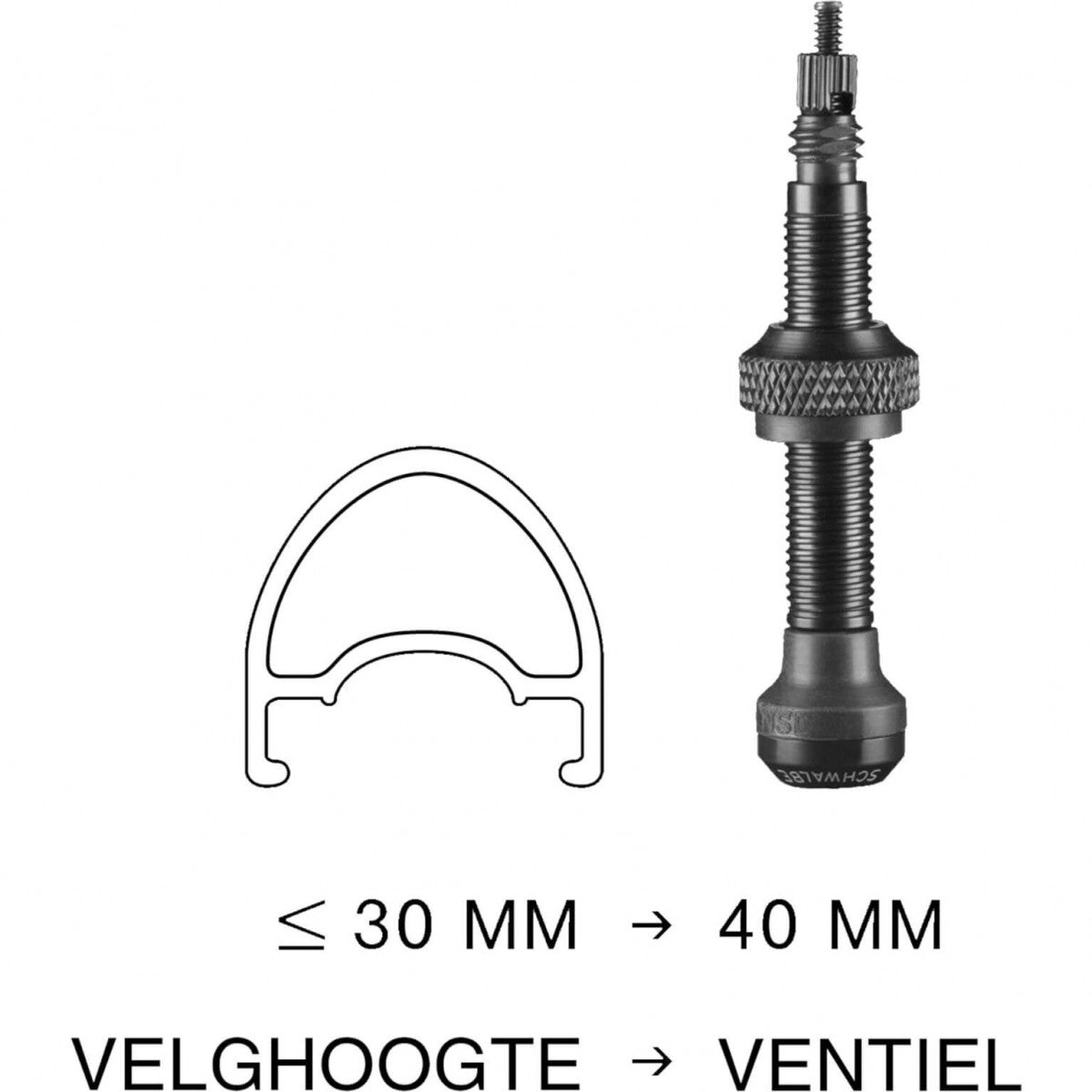 AXA bezdušový valiel 40 mm (2 kusy)