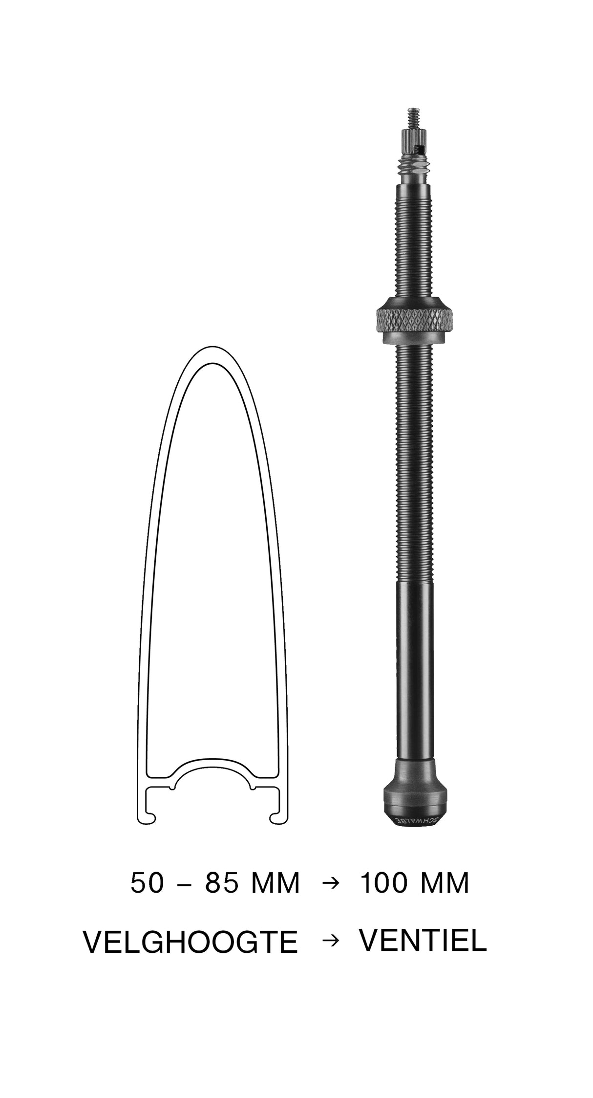 Tubeless Valve Schwalbe 100mm (2 stykker)