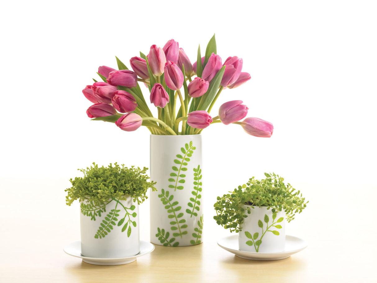 Martha Stewart • Finish: 6 Unzen Glitzer