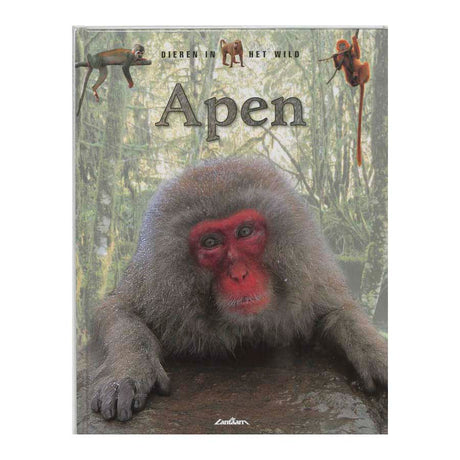 Laternenverleger Wildtiere – Affen