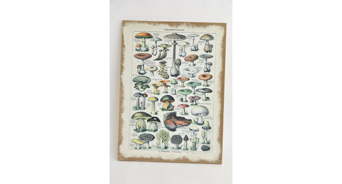 Linen wall art mushrooms 58x78x2.5cm