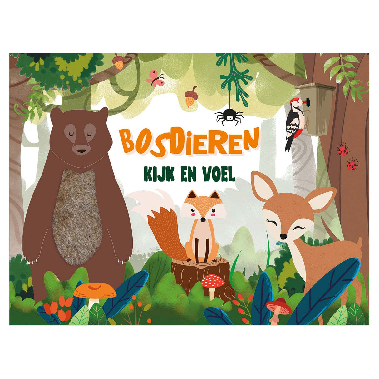 Schauen und fühlen – Waldtiere