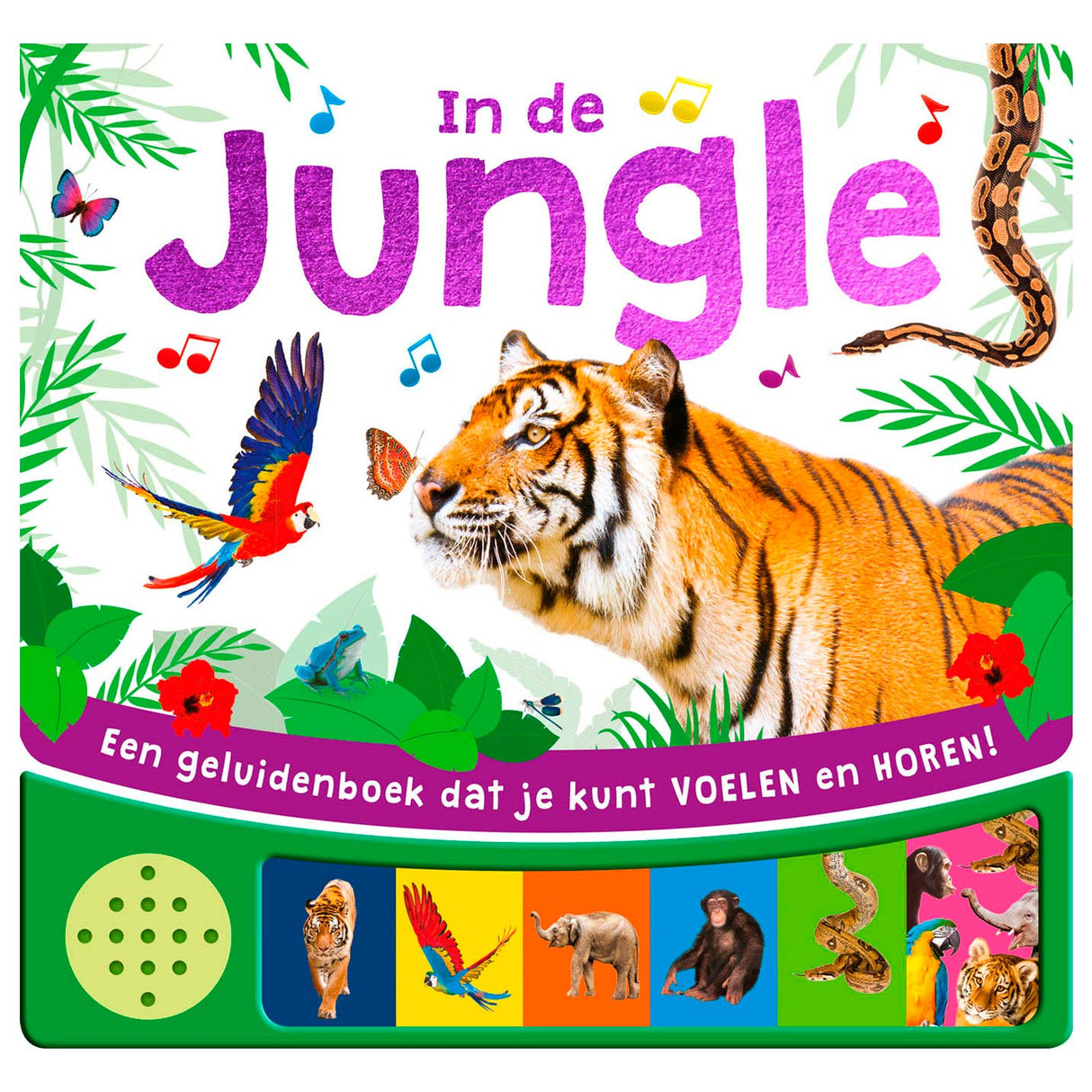 Rebo Publisher Sound Book Jungle