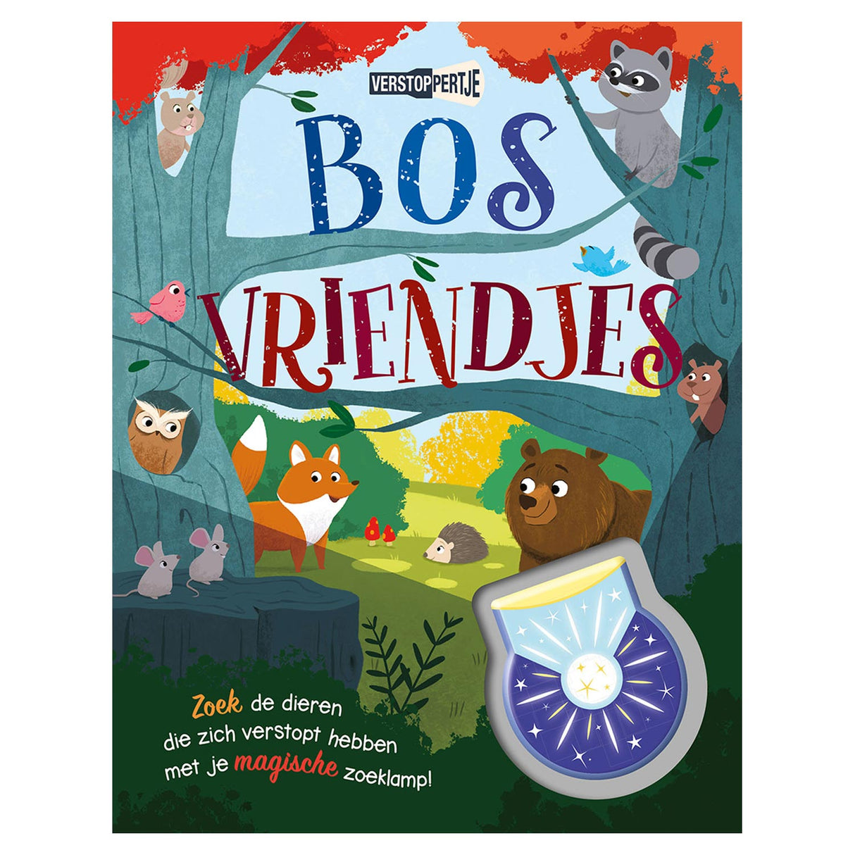 Rebo Publishers Book de recherche interactive Forest Friends with Pashit