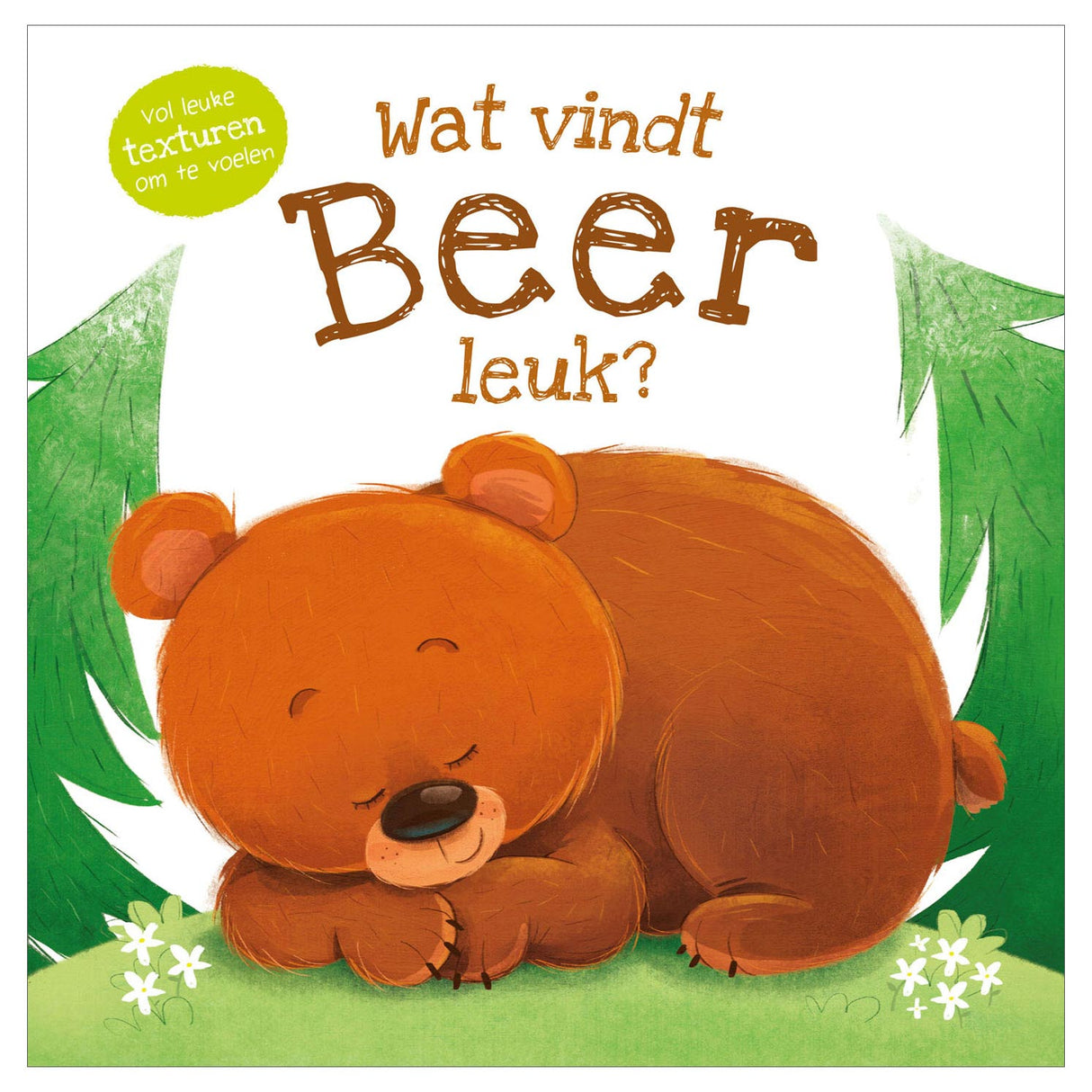 Tastbuch des Rebo-Verlags – Wie sieht der Bär aus?