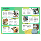 Vögel des Rebo-Verlags – Führer und Naturtagebuch für Kinder
