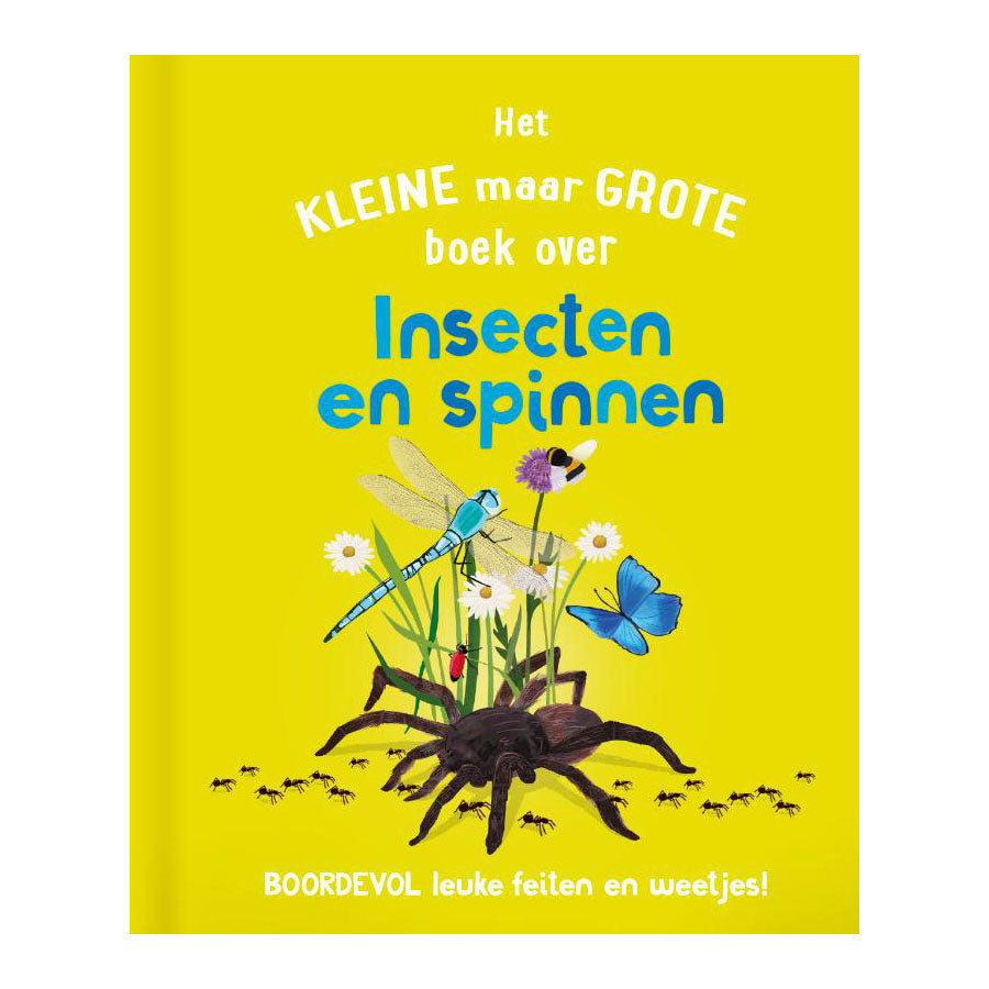 Verlage das kleine, aber große Buch über? Insekten drehen