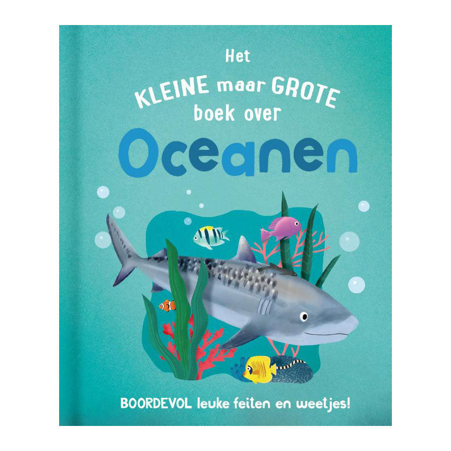 Rebo Publishers the small but large book about? oceans